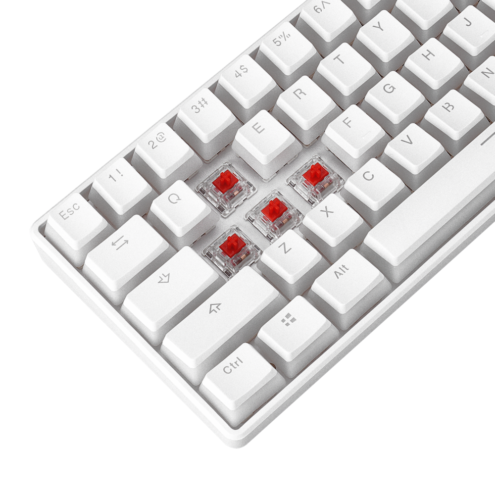 KB-R135 PARVUS Beyaz Type-C Bağlantılı RGB Puding Tuşlu Red Switch US Gaming Oyuncu Klavye - Rampage