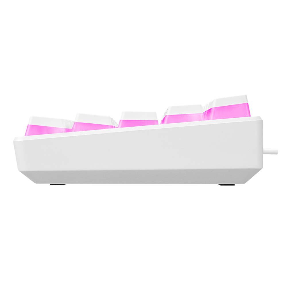 KB-R135 PARVUS Beyaz Type-C Bağlantılı RGB Puding Tuşlu Brown Switch US Gaming Oyuncu Klavye - Rampage