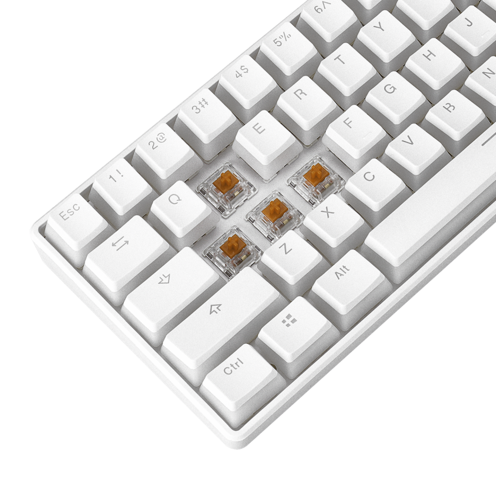 KB-R135 PARVUS Beyaz Type-C Bağlantılı RGB Puding Tuşlu Brown Switch US Gaming Oyuncu Klavye - Rampage