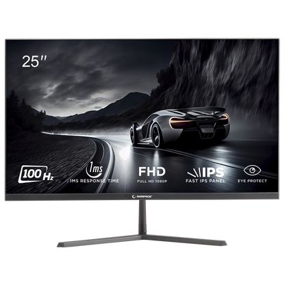 Rm25R100 25'' 100Hz 1ms IPS FHD PC Flat Gaming Monitor