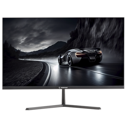Rm25R100 25'' 100Hz 1ms IPS FHD PC Flat Gaming Monitor