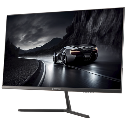 Rm25R100 25'' 100Hz 1ms IPS FHD PC Flat Gaming Monitor