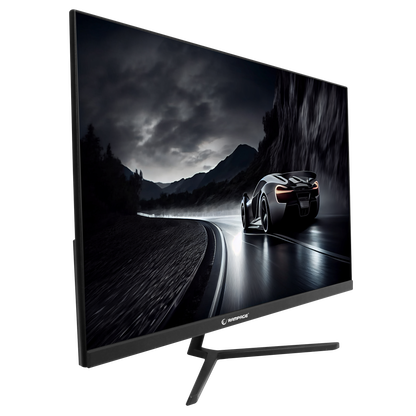 Rm25R100 25'' 100Hz 1ms IPS FHD PC Flat Gaming Monitor