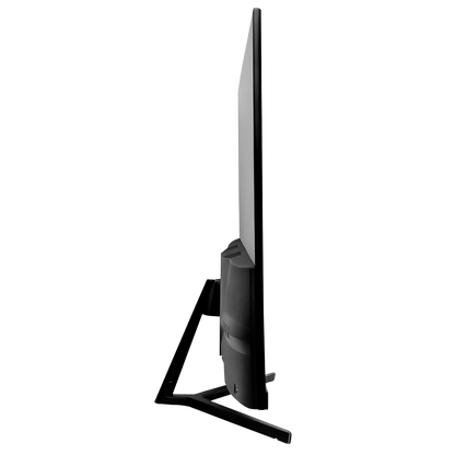 Rm25R100 25'' 100Hz 1ms IPS FHD PC Flat Gaming Monitor
