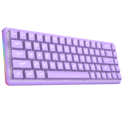 REBEL Mor Low Profile RED SWITCH Mekanik Gaming Oyuncu Klavye US Layout Beyaz Işıklı - Rampage