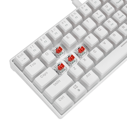 RADIANT K11 Beyaz Type-C / Puding Tuşlu US Layout Red Switch Gaming Oyuncu Klavye - Rampage