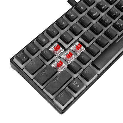RADIANT K11 Siyah Type-C / Puding Tuşlu US Layout Red Switch Gaming Oyuncu Klavye - Rampage