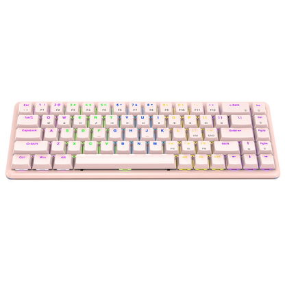 REBEL Pembe Low Profile RED SWITCH Mekanik Gaming Oyuncu Klavye US Layout Rainbow - Rampage