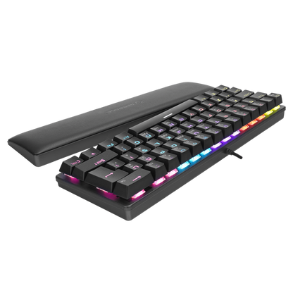ALLY K11 Siyah Rainbow Q Bilek Destekli Red Switch Gaming Oyuncu Klavye - Rampage
