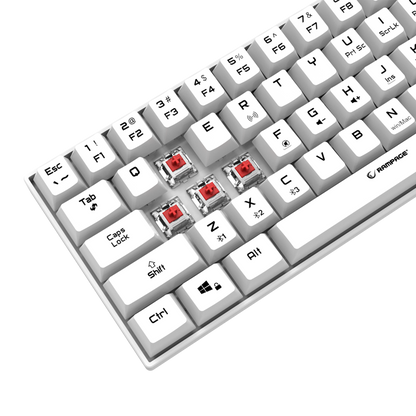 KB-RX63 B-ATOM Beyaz Bluetooth RED SWITCH Q 63 Tuşlu US Layout Mini Gaming Oyuncu Klavyesi