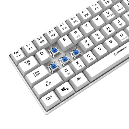 KB-RX63 B-ATOM Beyaz Bluetooth Blue Switch Q 63 Tuşlu US Layout  Mini Gaming Oyuncu Klavyesi