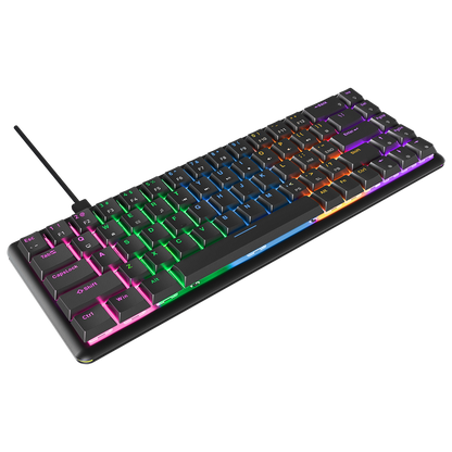 REBEL Siyah Low Profile RED SWITCH US Layout Mekanik Gaming Oyuncu Klavyesi - Rampage