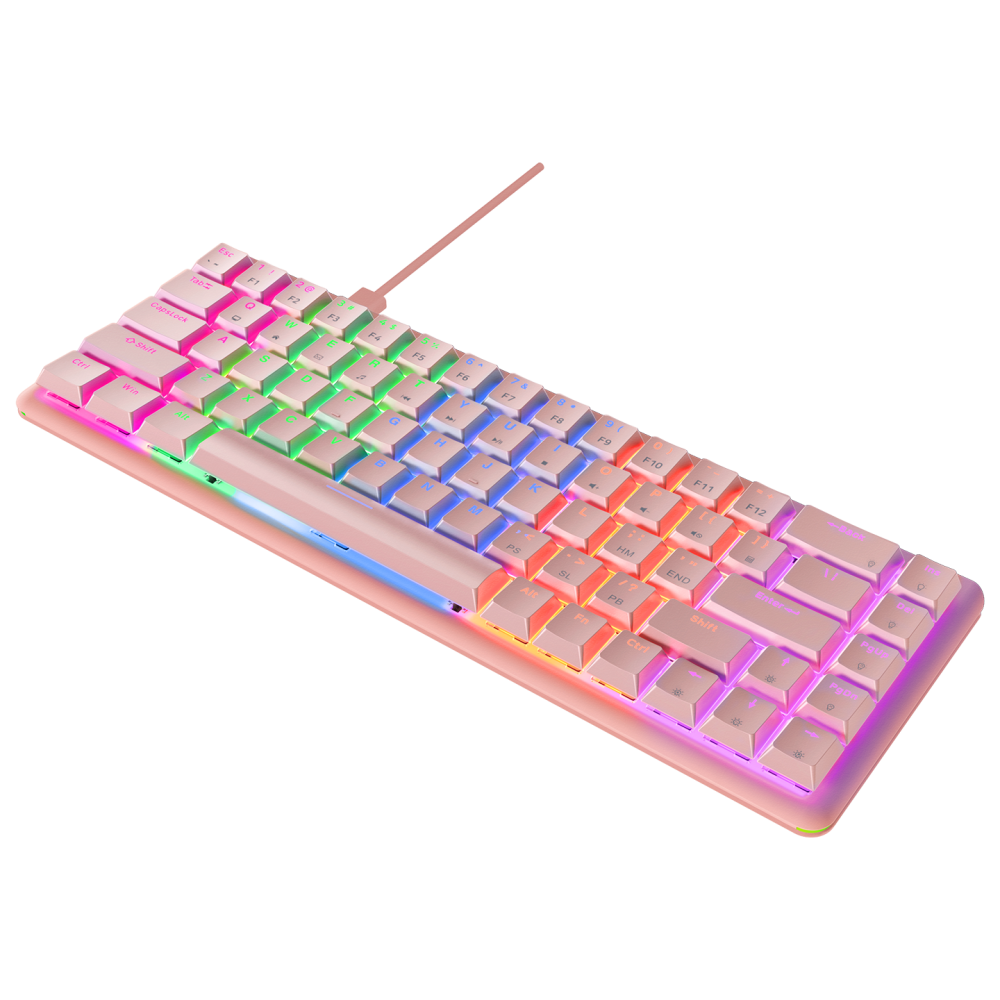 REBEL Pembe Low Profile BLUE SWITCH US Layout Mekanik Gaming Oyuncu Klavyesi - Rampage