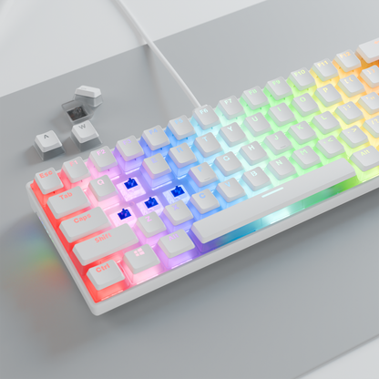 Radiant K11 Type-C / Puding Tuşlu US Layout Blue Switch Gaming Oyuncu Klavye-Beyaz