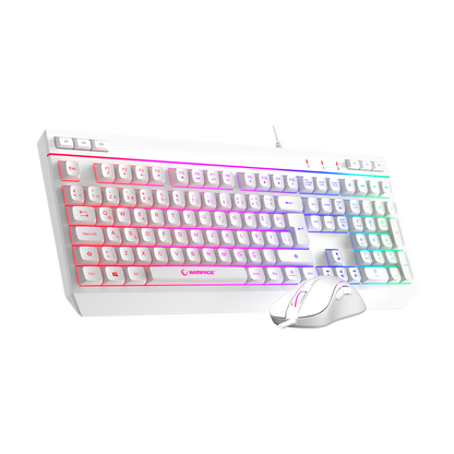 RGB Multimedia Oyuncu Klavye ve 12800 Dpi Mouse Set