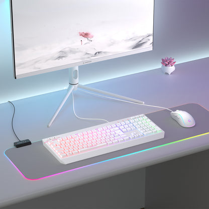 RGB Multimedia Oyuncu Klavye ve 12800 Dpi Mouse Set