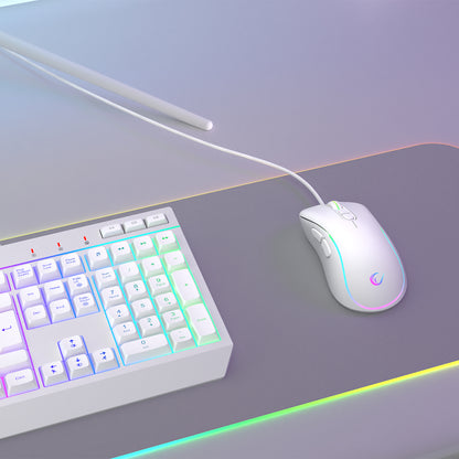 RGB Multimedia Oyuncu Klavye ve 12800 Dpi Mouse Set