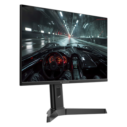 Rage RG25R300 25'' 300Hz 1ms FAST IPS RGB Freesync FHD PC Flat Oyuncu Monitörü