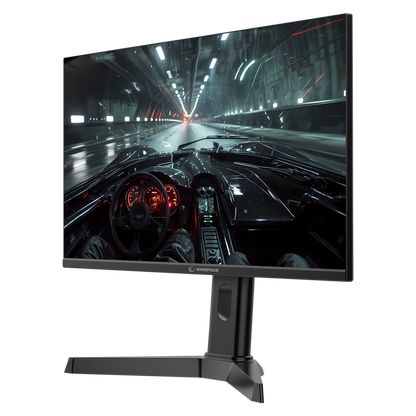 Rage RG25R300 25'' 300Hz 1ms FAST IPS RGB Freesync FHD PC Flat Oyuncu Monitörü