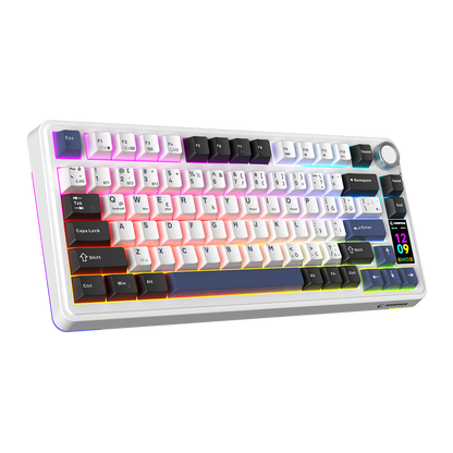 Quell Pro Hot Swap Wireless RGB Gasket Oil Switch Turkish Q PBT Keycaps Mechanical Gaming Keyboard - White