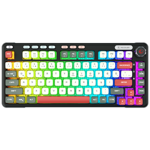 EIRA - Transparan Hot Swap RGB Gasket Oil Switch Türkçe Pudding PBT Keycaps Kablosuz Mekanik Oyuncu  Klavyesi