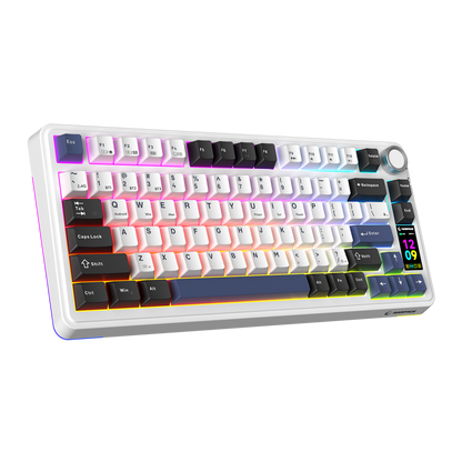 QUELL PRO - Hot Swap Gasket Oil Switch English Layout PBT Keycaps Kablosuz Mekanik Oyuncu Klavyesi