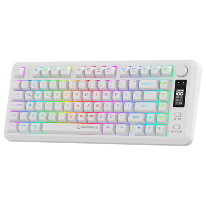 2.4G + BT Wireless RGB Q 75 Membrane Oyuncu Klavyesi-Beyaz