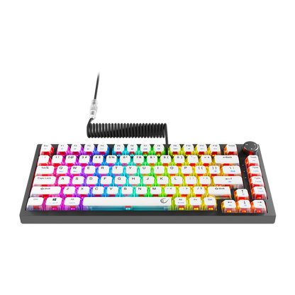 ZENITH PRO - US Layout V2 Siyah Hot Swap 8000 Hz Gasket Manyetik RGB Rapid Trigger Gateron Switch  English Dye-Sub PBT