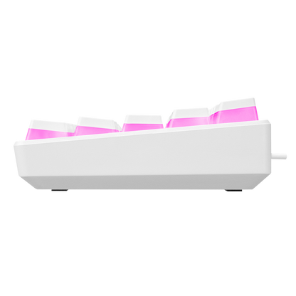 KB-R135 PARVUS Beyaz Type-C Bağlantılı RGB Puding Tuşlu Red Switch US Gaming Oyuncu Klavye - Rampage