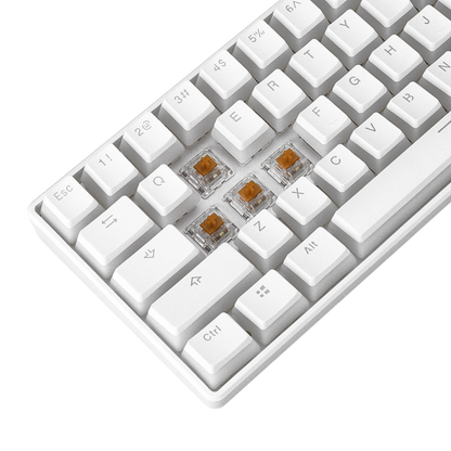 KB-R135 PARVUS Beyaz Type-C Bağlantılı RGB Puding Tuşlu Brown Switch US Gaming Oyuncu Klavye - Rampage