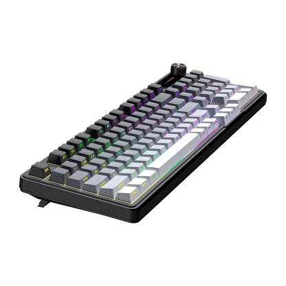 Gradient Siyah/Gri/Beyaz RGB US Q Membrane Oyuncu Klavyesi