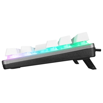 SNUG K14 Beyaz/Gri BLUE SWITCH Rainbow TKL Mekanik Gaming Oyuncu Klavyesi - Rampage