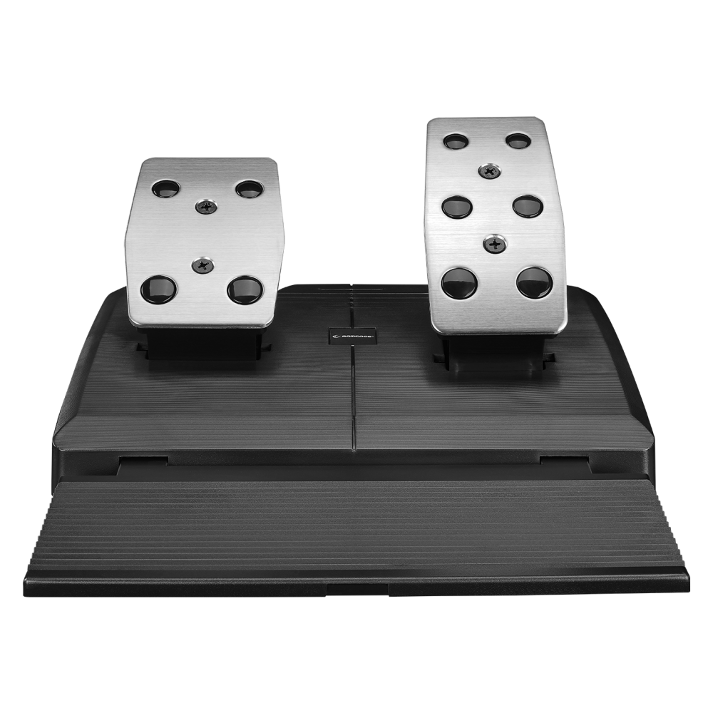 Race W10 Oyuncu Direksiyonu