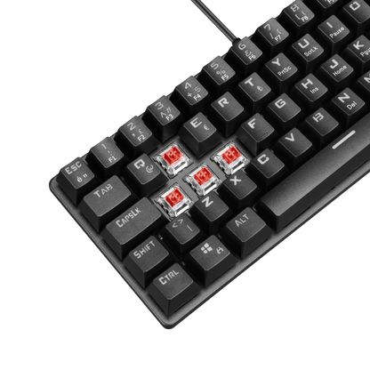 PLOWER K60 Siyah Bilek Destekli Red Switch Gaming Oyuncu Klavye - Rampage