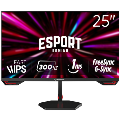25 (24.5”) 300Hz 1ms Oyuncu Monitörü