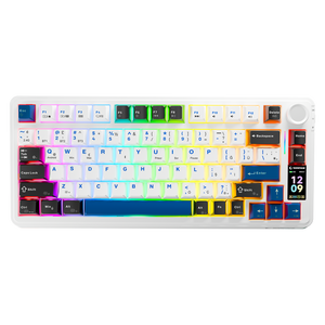 Hot Swap Ekranlı Gasket Oil Switch PBT Keycaps Kablosuz Mekanik Oyuncu Klavyesi