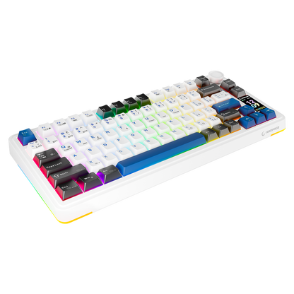 Quell Pro Hot Swap Ekranlı Gasket Oil Switch PBT Keycaps Kablosuz Mekanik Oyuncu Klavyesi