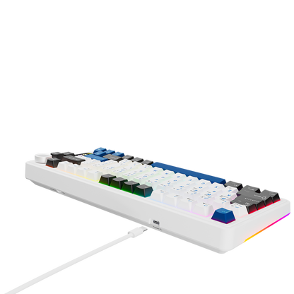 Quell Pro Hot Swap Ekranlı Gasket Oil Switch PBT Keycaps Kablosuz Mekanik Oyuncu Klavyesi