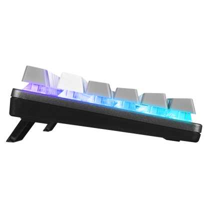 Rainbow TKL Blue Switch Mekanik Oyuncu Klavye -Beyaz/Gri