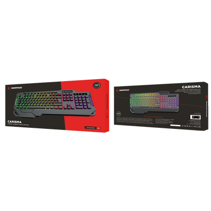 KB-R46 CARISMA USB Rainbow Aydınlatmalı Q Gaming Oyuncu Klavye