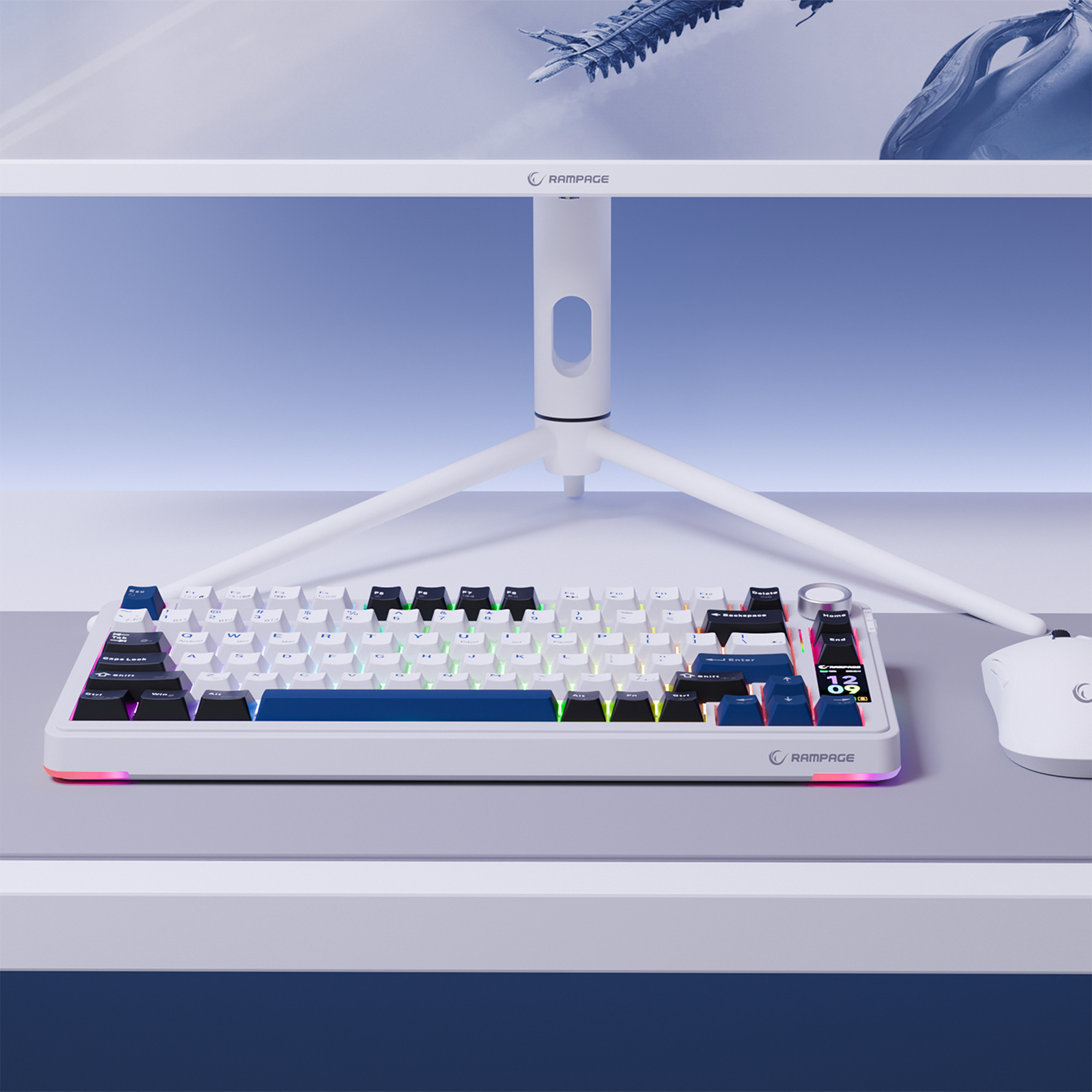 Quell Pro RGB Hot Swap Gasket Oil Switch English Layout PBT Keycaps Kablosuz Mekanik Oyuncu Klavyesi