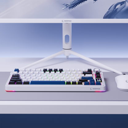 Quell Pro RGB Hot Swap Gasket Oil Switch English Layout PBT Keycaps Kablosuz Mekanik Oyuncu Klavyesi