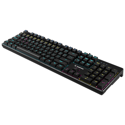 Nimbus Rainbow Red Switch Mekanik Oyuncu Klavyesi-Siyah