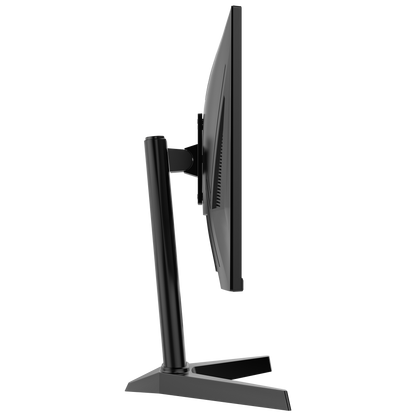 Rage RG25R300 25'' 300Hz 1ms FAST IPS RGB Freesync FHD PC Flat Oyuncu Monitörü