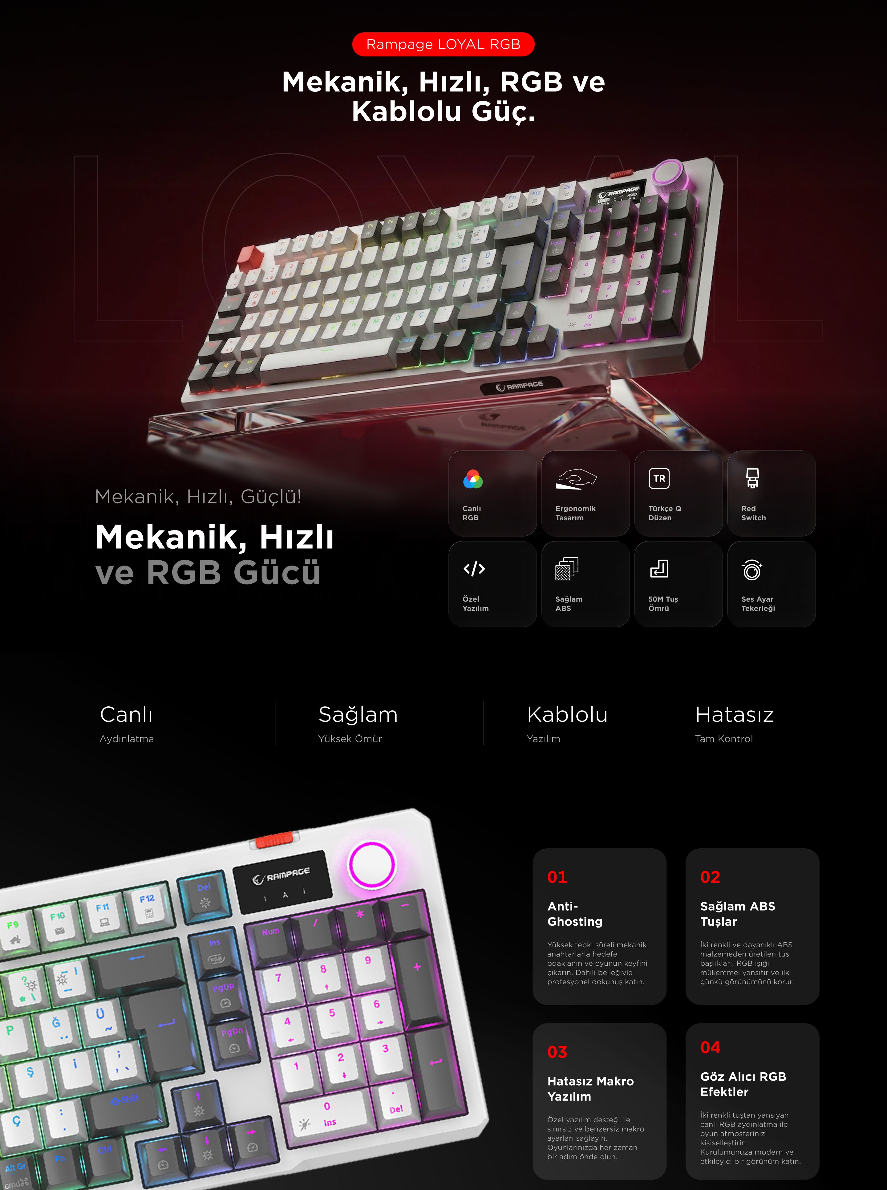 Loyal Hot Swap RGB Red Switch Mekanik Oyuncu Klavyesi-Beyaz/Gri